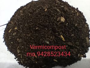 Vasundhara vermicompost