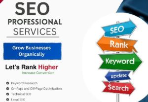 SEO Service in South Delh