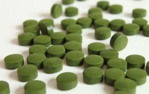 Moringa Leaf Tablets