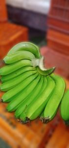 A Grade Export Quality Green Banana