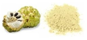 Dehydrated Custard Apple Powder