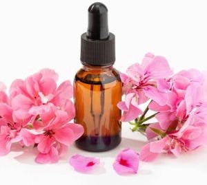 Geranium Oil