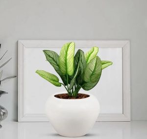 Ceramic Apple Shape Planter Pot