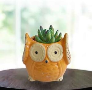 Owl Shaped Ceramic Planter
