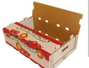 Fruit Packaging Box