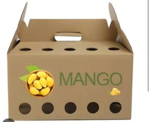 Mango Packaging Box