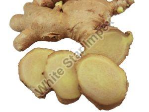 Fresh a Grade Ginger Root