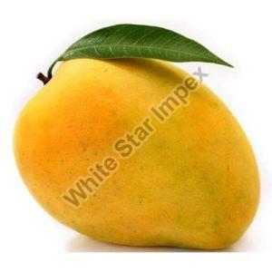 Fresh Alphonso Mango