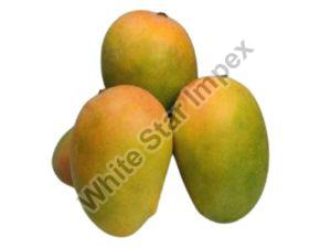 Fresh Kesar Mango