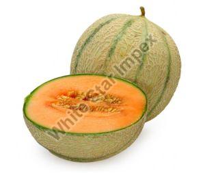 Fresh Sweet Muskmelon