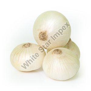 Fresh White Onion