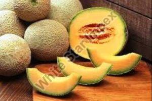 Indian Fresh Muskmelon