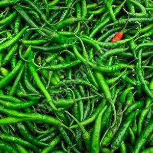 Indian Green Chilli