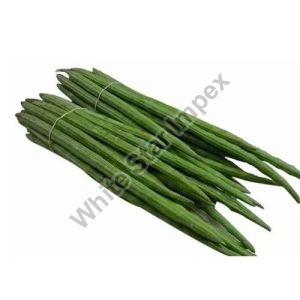 Natural Green Drumstick