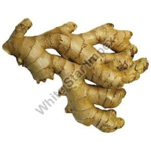 Organic Fresh Ginger