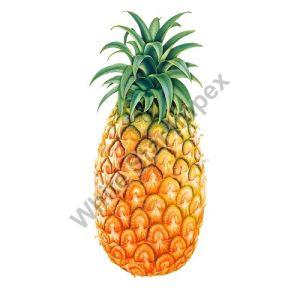 Organic Fresh Pineapple