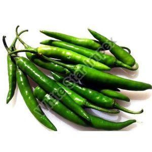 Organic Green Chilli