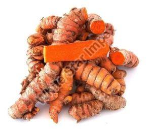 Organic Red Turmeric Roots