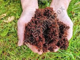 Vermicompost Powder