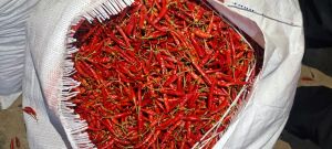 Dry Red Chilli