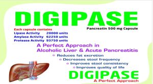 Pancreatin 500 Mg Capsules
