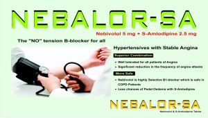Nebivolol 5 Mg and S-amlodipine 2.5 Mg Tablets