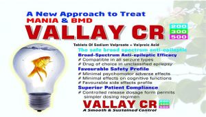 Sodium Valproate 333 Mg and Valproic Adid 145 Mg (CR) Tablets