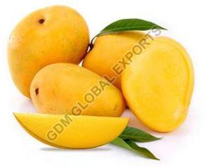 Fresh Alphonso Mango