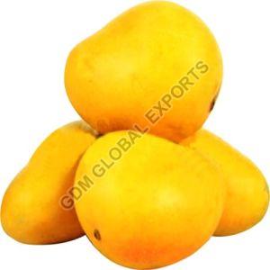 Fresh Banganapalli Mango