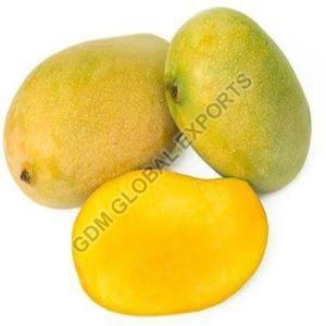 Fresh Chaunsa Mango