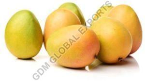 Fresh Kesar Mango