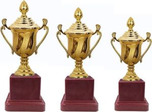 Win Champions Award Trophy