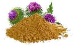 milk thistle dry extract