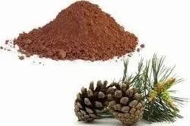 Pine Bark Extract