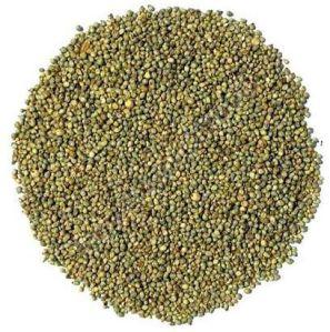 Millet Seeds