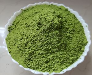 Moringa Powder