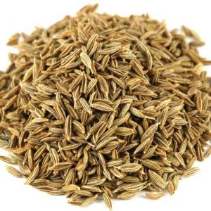 Dry Cumin Seeds