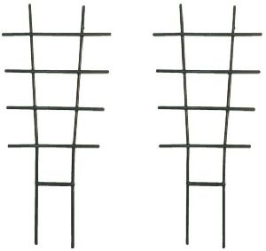 24x44 cm Plant Supporters/ Trellis Plant Supporters For Climbing Vines And Plants (Dark Green)