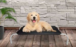 Pet Bed