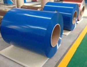 Color Coated Steel Coil