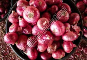 A Grade Red Onion