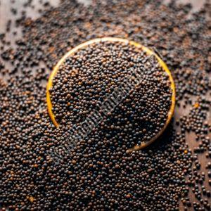 Black Mustard Seeds