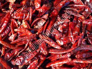 Dry Red Chilli