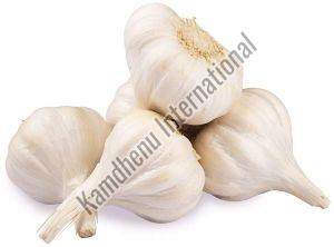 Natural Garlic