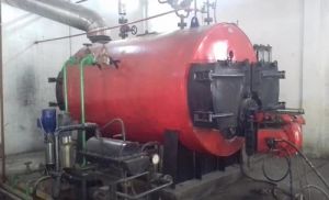 IBR Oil Fired Steam Boiler
