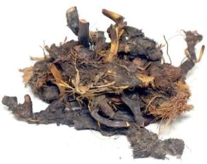Dried Nagarmotha Root