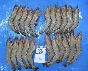 Vannamei Prawn