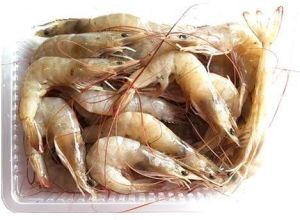Vannamei Prawn
