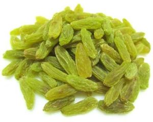 Indian Raisins