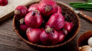 Onion